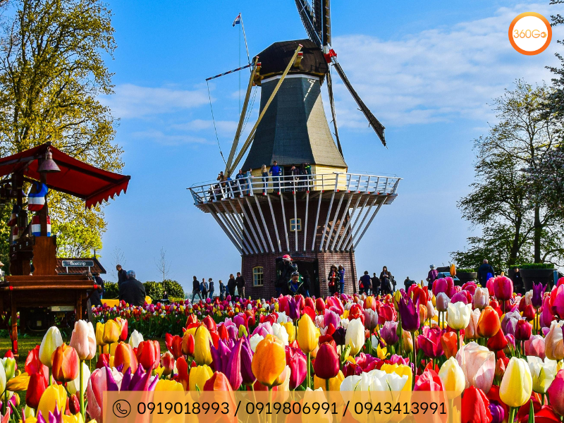 Sắc màu rực rỡ của hoa tulip trải dài khắp các vùng nông thôn - Du lịch 360Go 